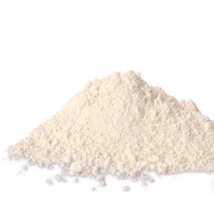 Plâtre dentaire 2kg- DENSTON3
